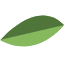 medium-leaf